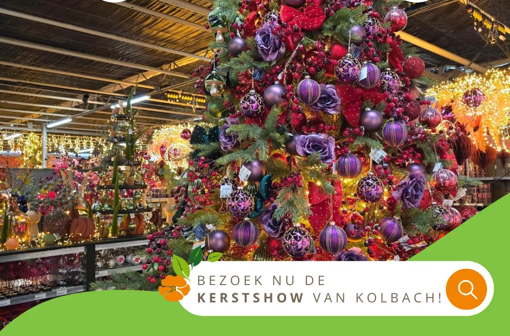 Vroeg pieken doe je bij Kolbach! Vroeg pieken doe je bij Kolbach!