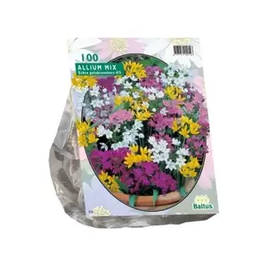 Allium Mix per 100