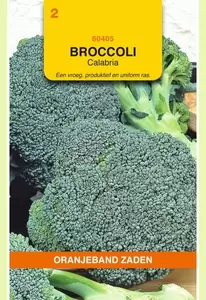 Broccoli Calabria Oranjeband - afbeelding 1
