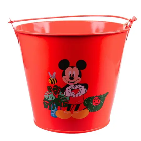 Emmer mickey d17h15cm