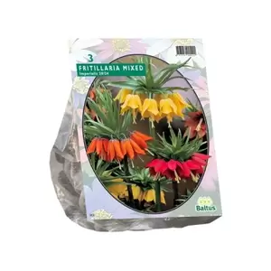 Fritillaria Imperialis Mixed per 3