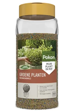 Groene Planten Langwerkende VoedingsKorrels 800gr Pokon