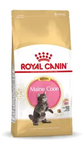 Maine Coon Kitten 400 gr