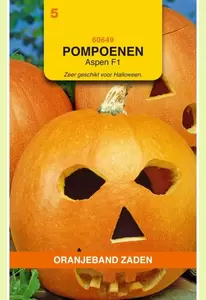 Pompoenen Aspen Oranjeband