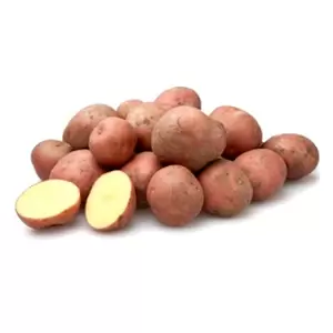 Pootaardappelen Bildstar 1kg