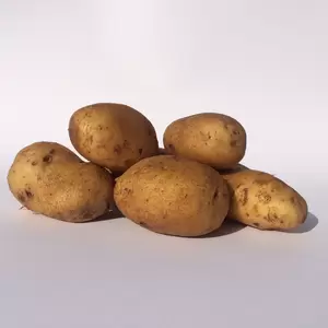 Pootaardappelen Frieslander 1kg