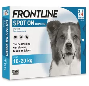 Spot on hond medium 10-20kg 4 pipetten