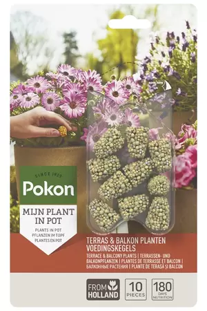 Terras & Balkon Planten Langwerkende Voedingskegels 10 stuks Pokon
